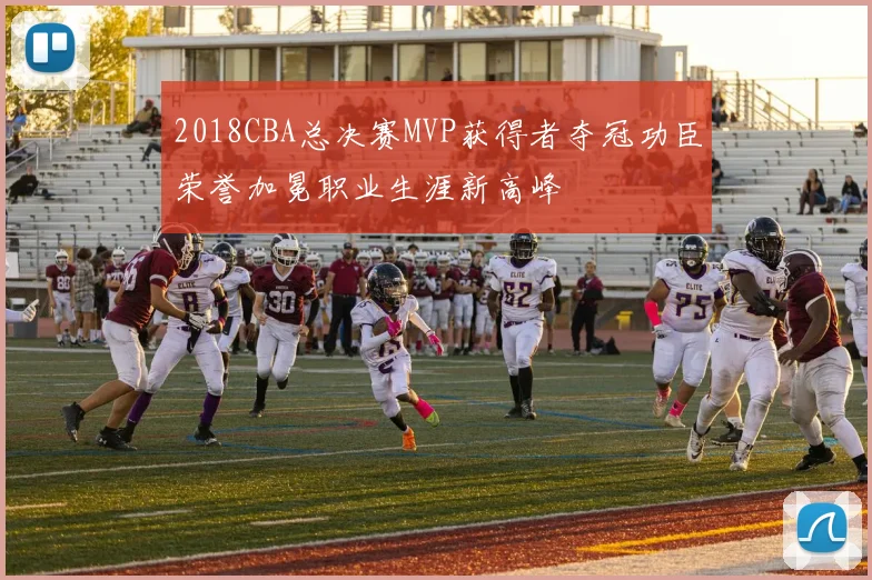 2018CBA总决赛MVP获得者夺冠功臣荣誉加冕职业生涯新高峰