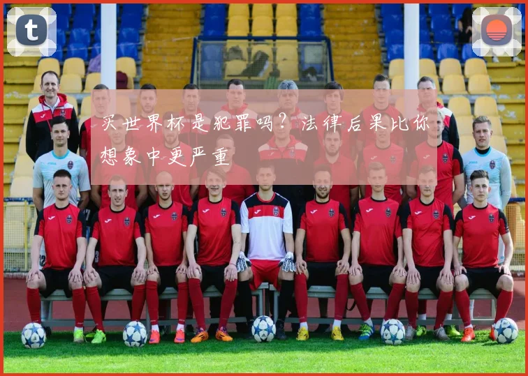 买世界杯是犯罪吗？法律后果比你想象中更严重