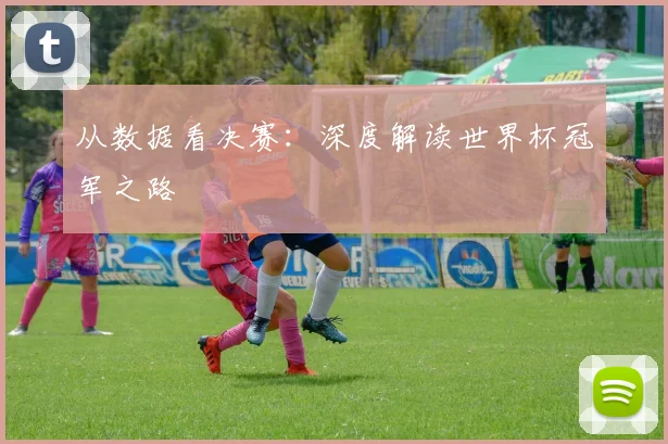 从数据看决赛：深度解读世界杯冠军之路