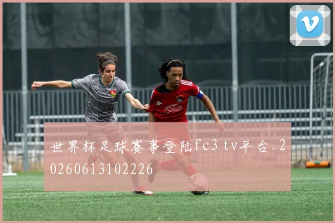 世界杯足球赛事登陆fc3 tv平台_20260613102226