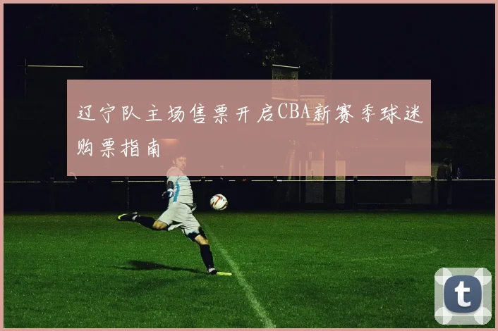 辽宁队主场售票开启CBA新赛季球迷购票指南