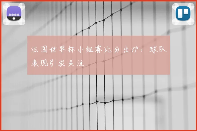 法国世界杯小组赛比分出炉，球队表现引发关注