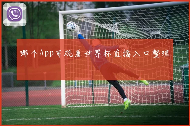 哪个App可观看世界杯直播入口整理