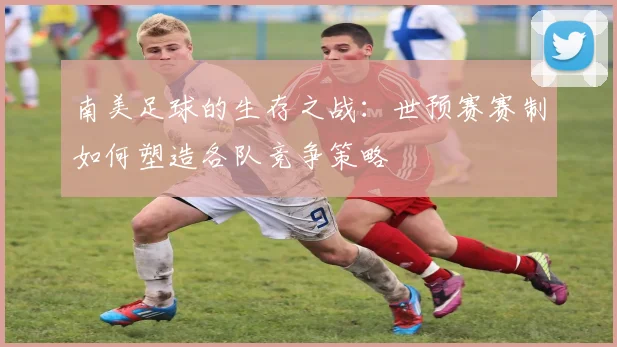 南美足球的生存之战：世预赛赛制如何塑造各队竞争策略
