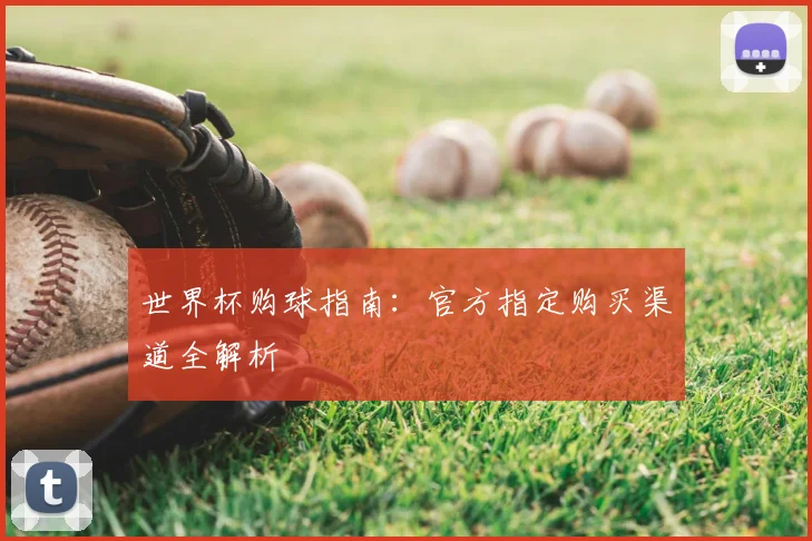 世界杯购球指南:官方指定购买渠道全解析