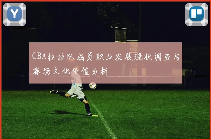CBA拉拉队成员职业发展现状调查与赛场文化价值分析