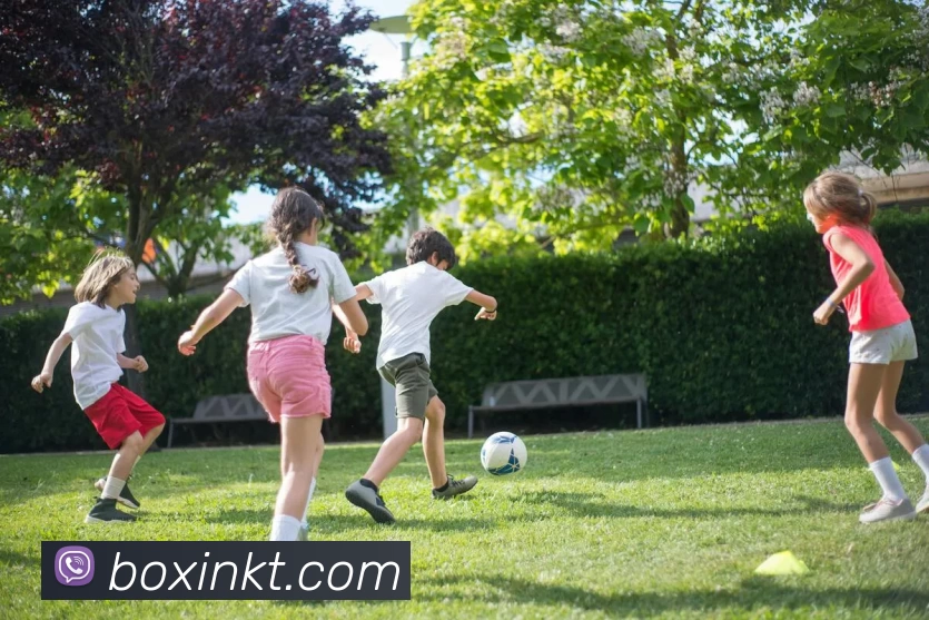 多媒体互动体验